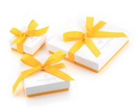 Anello Nomination Donna in Argento Zirconia 149824/032 - 149824/032